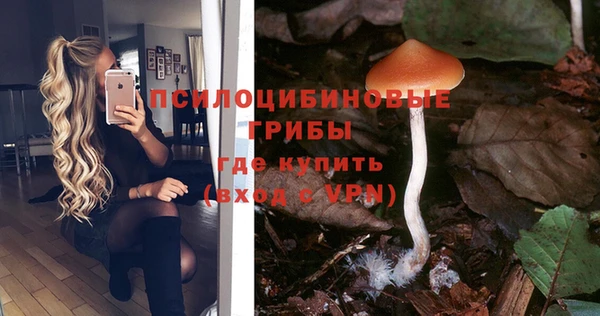 гашиш Бородино